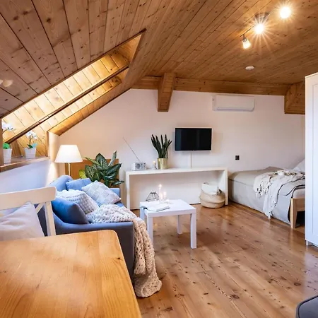 Apartment Klagenfurt Landhaus Wulfenia - With Free Parking, Sauna, Smart-Tv And Air Conditioning Klagenfurt am Wörthersee Extérieur photo