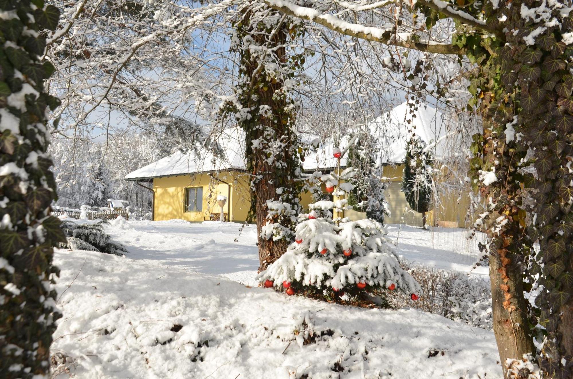 Apartment Klagenfurt Wulfenia - With Free Parking, Sauna, Smart-tv And Air Conditioning